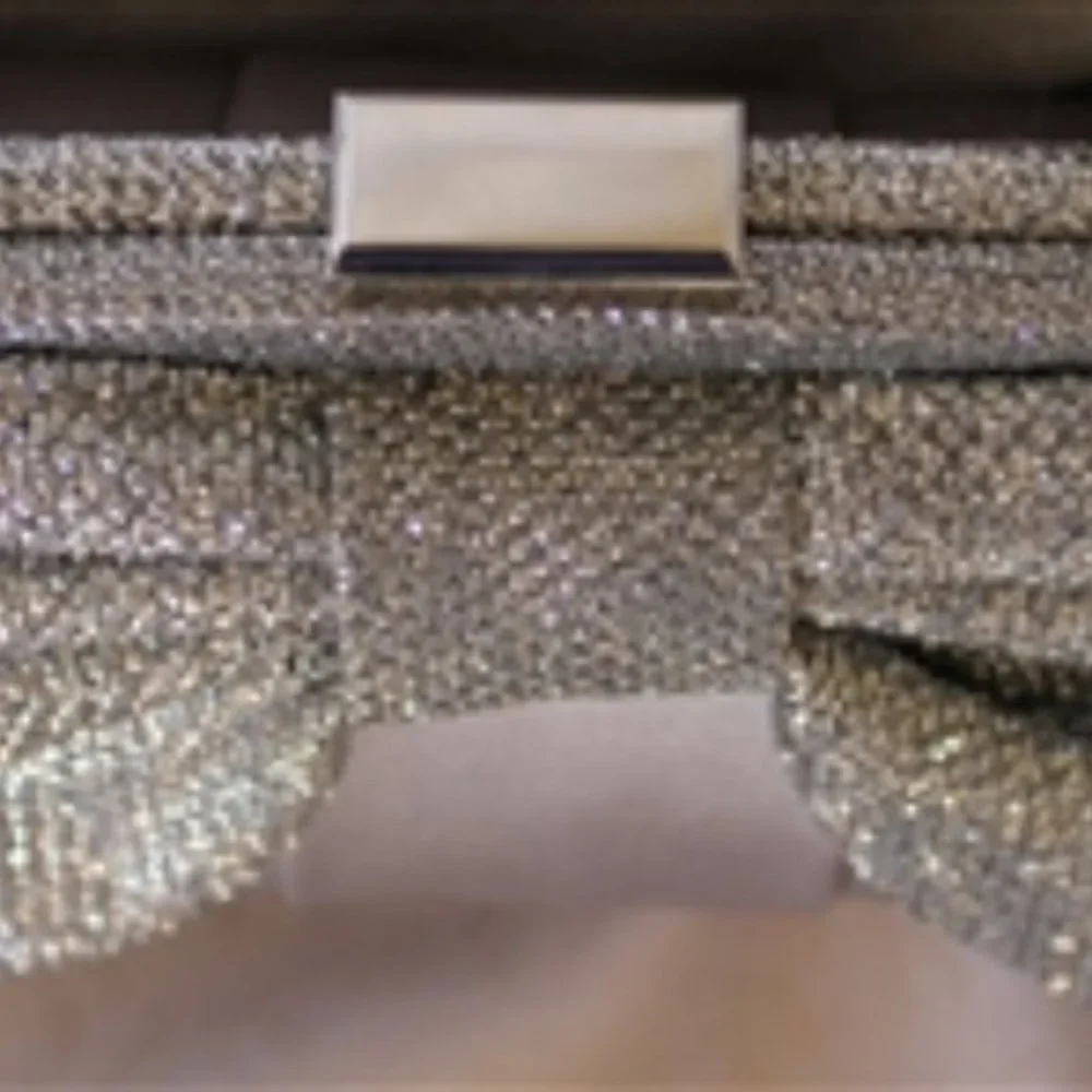 NWT BellaKiara Purse original pewter vintage inspired soft evening clut…